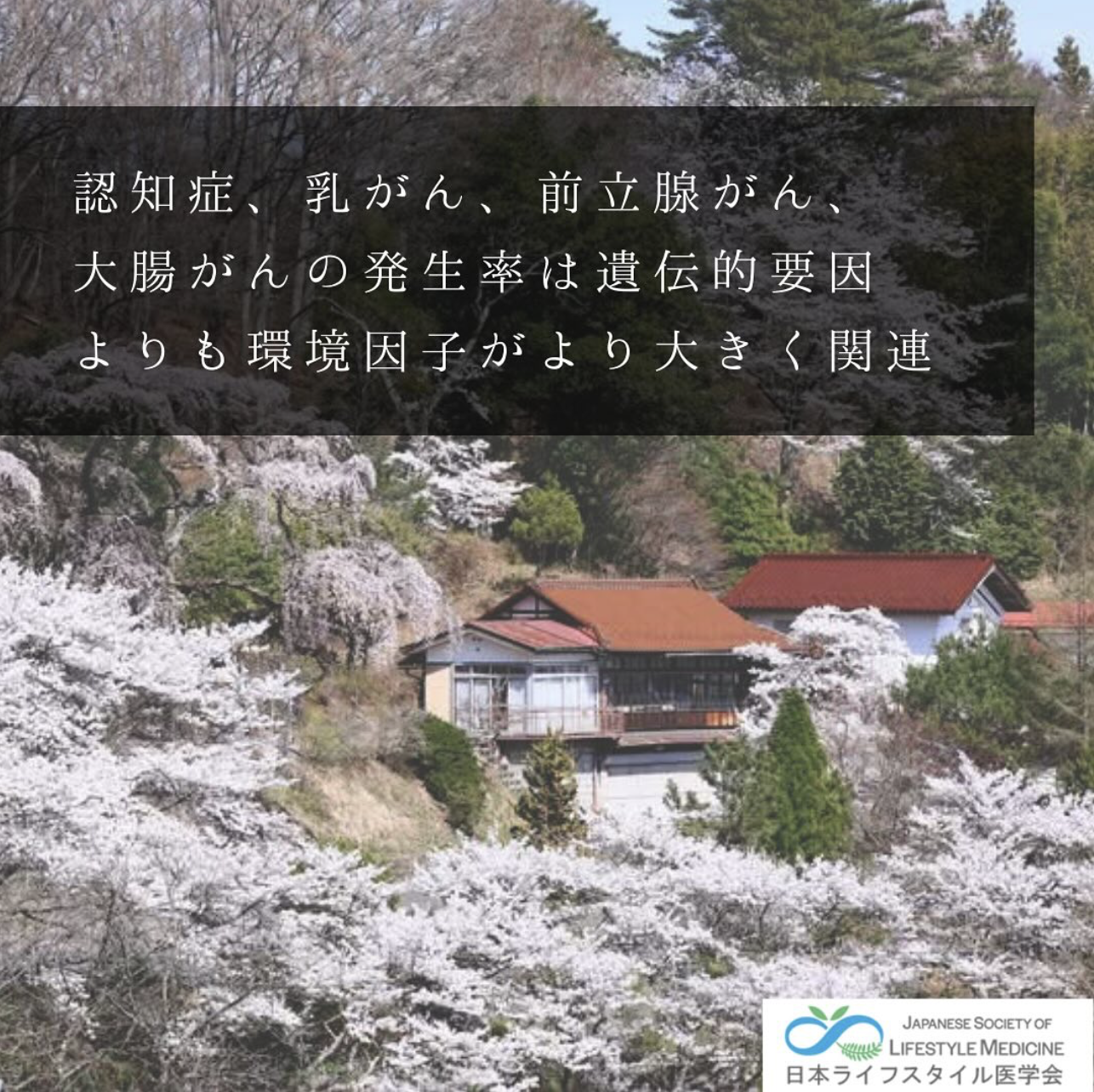 田舎の家