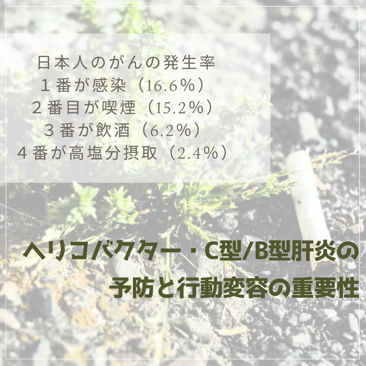 タバコ